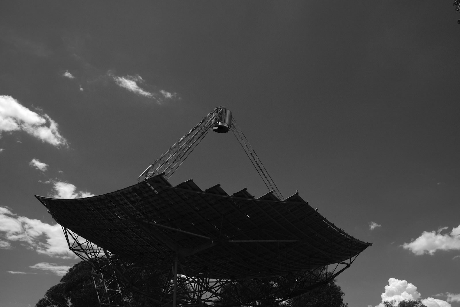 Album cover candidate for Hyphae by Andromeda is Coming