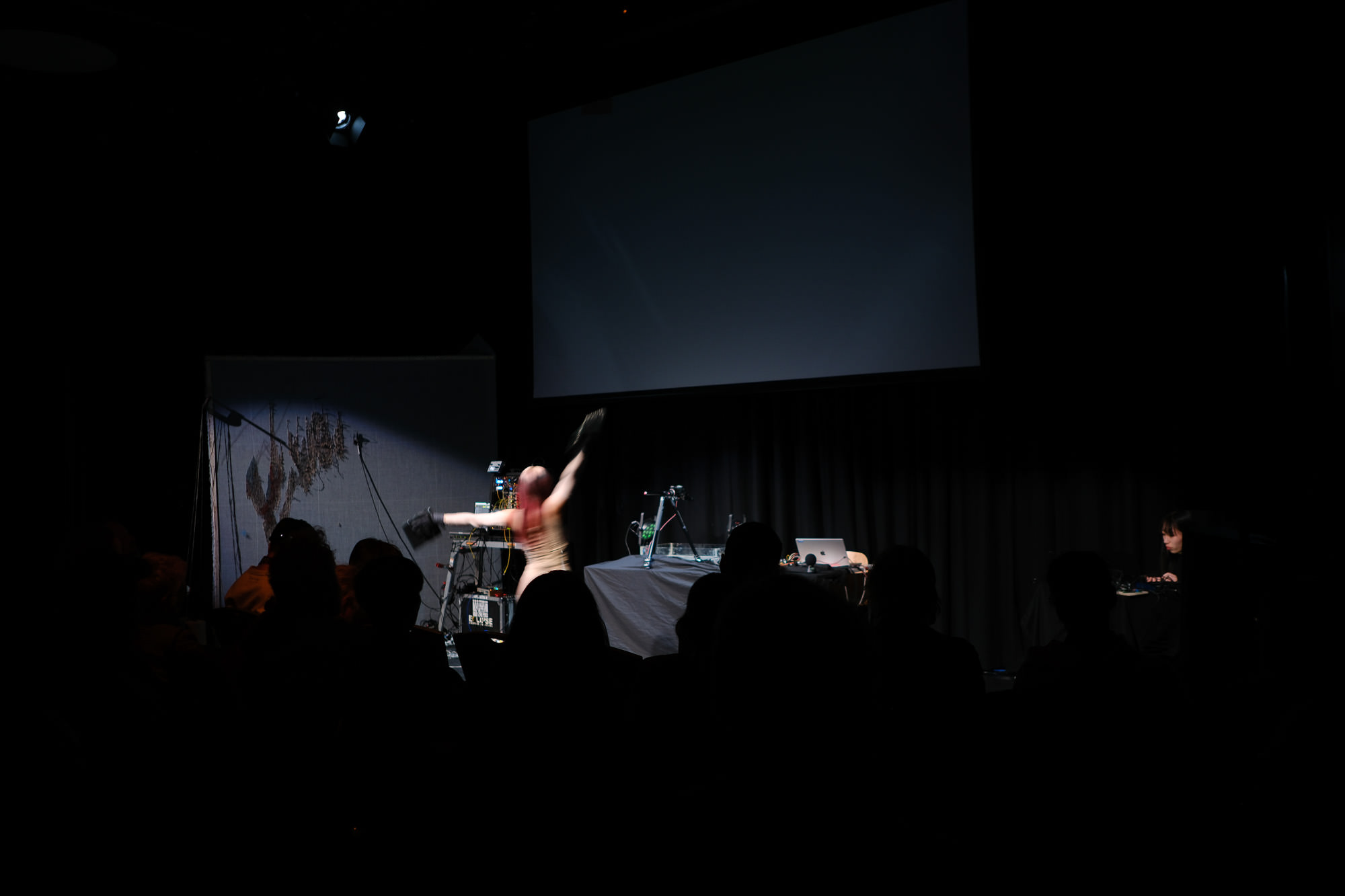 Performance of "Playing the Sound Image" at the Opening Concert