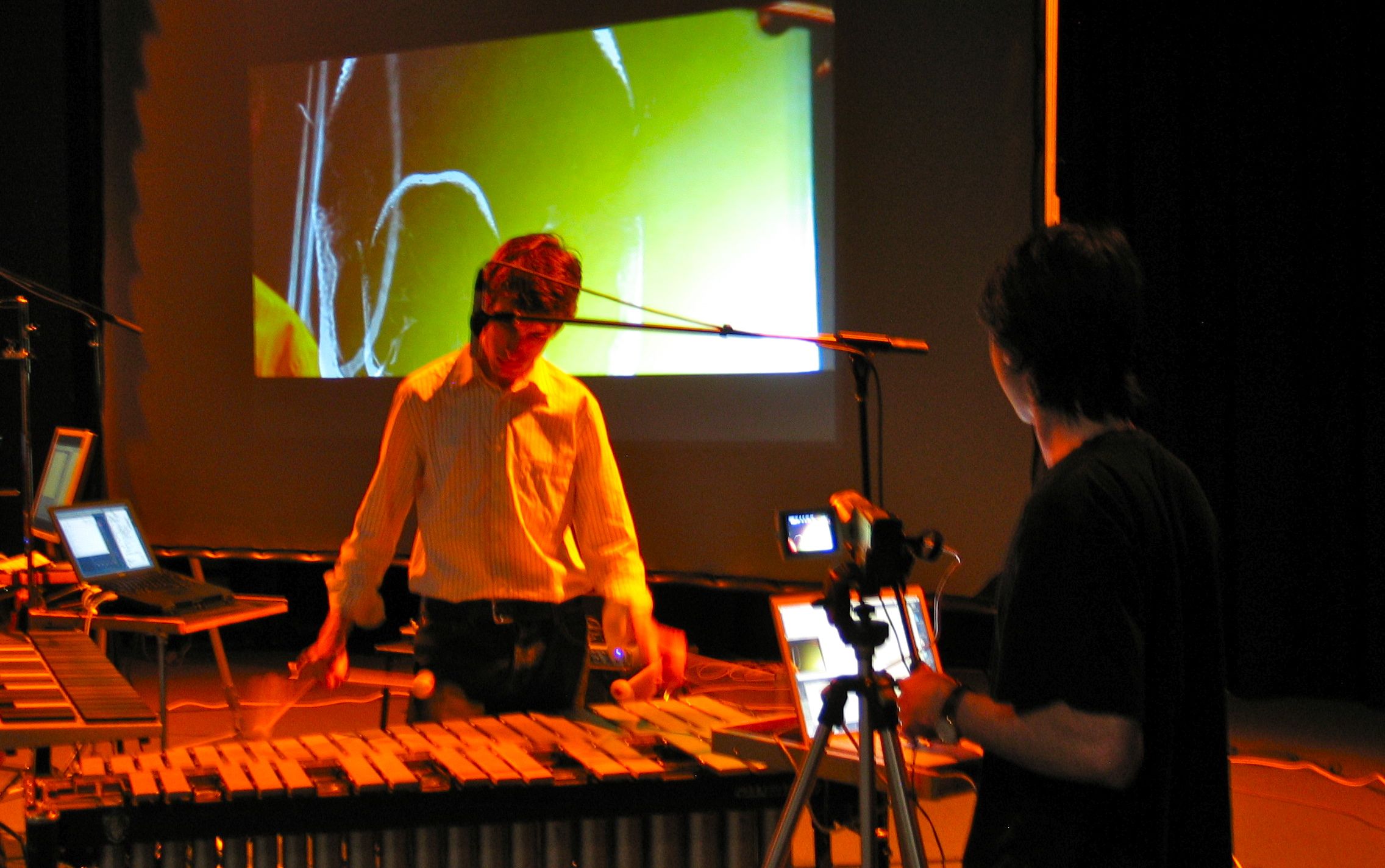 A percussion and computer performance from 2009